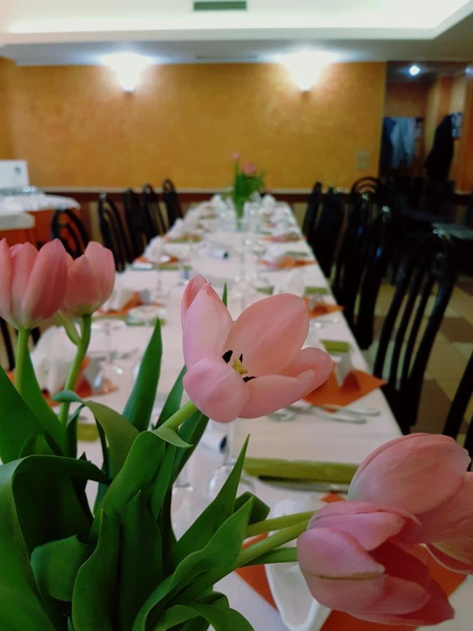 Albergo Ristorante Il Delfino Новара Екстериор снимка